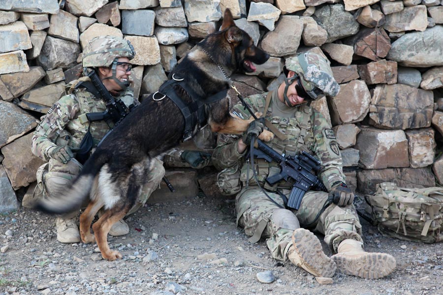 Private First Class Chris Kunze, cannon crewmember assigned to Task Force Spartan, relaxes with his military working dog
