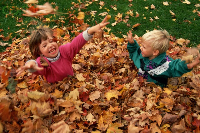 Image result for kids playing outside in autumn