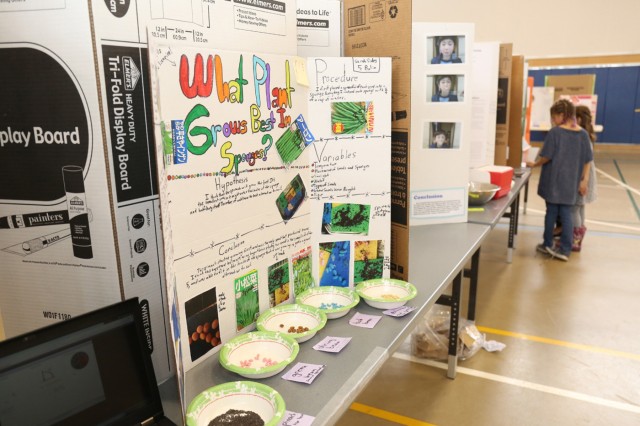 A display of Sarah Sides, an Arnn 5th-grade student and science fair participant, experimental process of "what plants grows best in sponges." (U.S. Army photo by Noriko Kudo)
