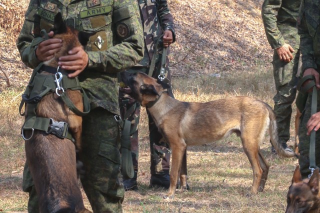 Filipino military members are taught a U.S. method of firearm desensitization training with their dogs on March 6, 2019 at Camp Aquino. The dogs are praised after hearing the gunfire to encourage positive reactions to the noise.
