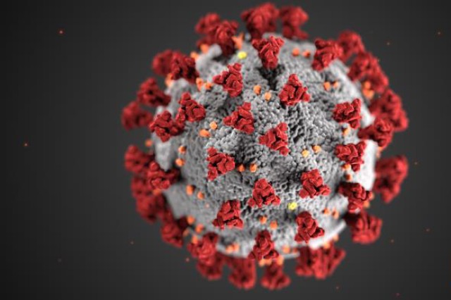 This illustration reveals ultrastructural morphology exhibited by coronaviruses. A novel coronavirus, named Severe Acute Respiratory Syndrome coronavirus 2 was identified as the cause of an outbreak of respiratory illness first detected in Wuhan, China, in 2019. The illness caused by this virus has been named coronavirus disease 2019 (COVID-19).