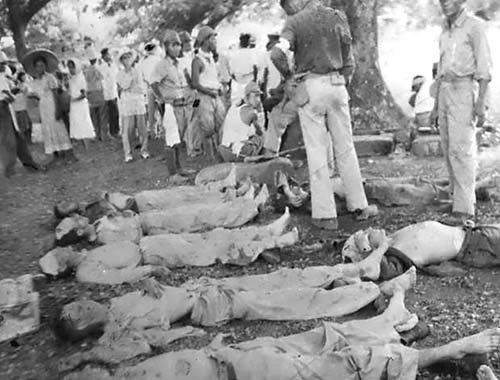 Bodies laying along the road