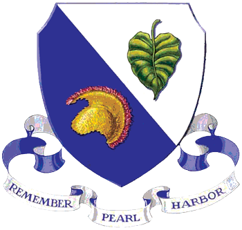 unit insignia
