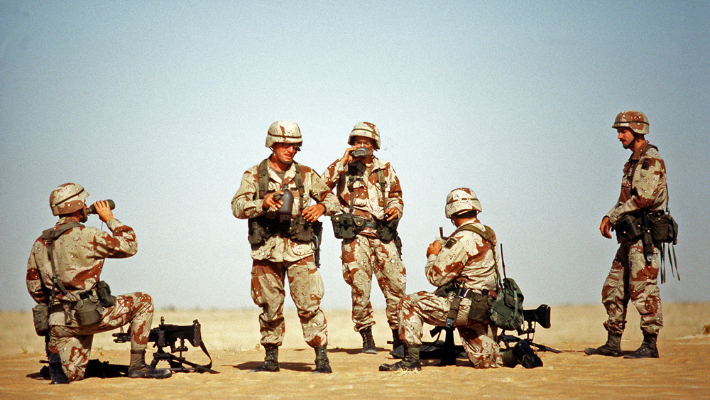 Image for Operation Desert Shield & Operation Desert Storm