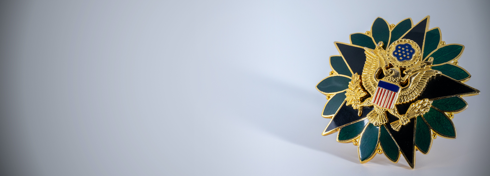 HQDA Civilian Onboarding logo