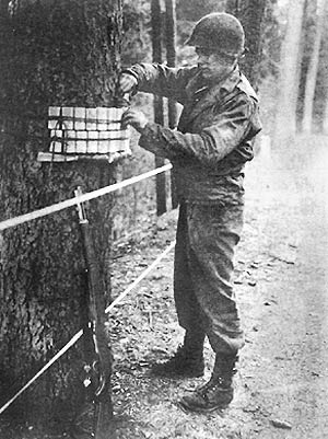 World War II Combat Engineer setting explosives on tree