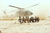 Commandos and Tactical Security Unit personnel watch UH-60 Black Hawk
