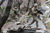 Soldier crosses stream to Angla Kala village