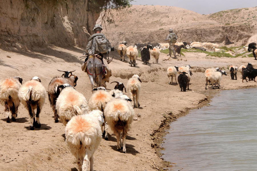 Soldiers from White Tank walk along bank of stream