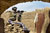 Afghan-international security force secures area with M-4 rifle