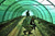 Kentucky National Guard Soldiers inspect a greenhouse in Mahmod-e Raqi district, Kapisa province, Afghanistan
