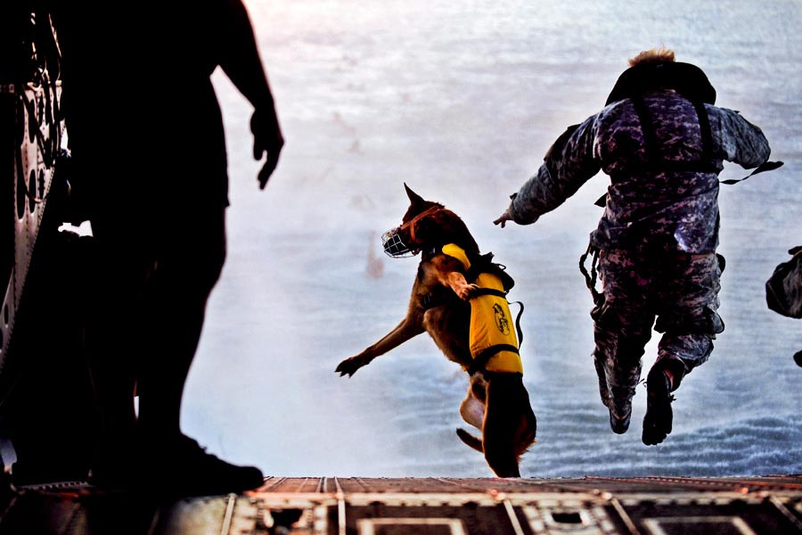 Soldier with 10th Special Forces Group and his military working dog jump off the ramp of a CH-47 Chinook helicopter