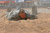 A Soldier completes the low-crawl obstacle on the Fort Bliss obstacle course