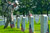 A Soldier of the 3rd United States Infantry Regiment (The Old Guard) places small American flags in front of a headstone in Arlington National Cemetery, Virginia