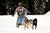 Major General Thomas H. Katkus, Alaska National Guard, races to finish line during the 'Top Brass' Charity Sled Dog Race