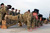 Captain Michael Stackhouse and First  Sergeant Christopher Roche, both with Task Force Saber, place gold combat spurs on feet of Troopers