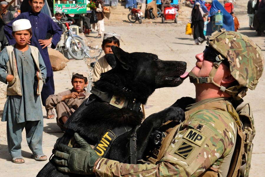Sergeant Adam Serella, narcotics patrol detector dog handler with 3rd Infantry Division, takes time to bond with his dog, Nero