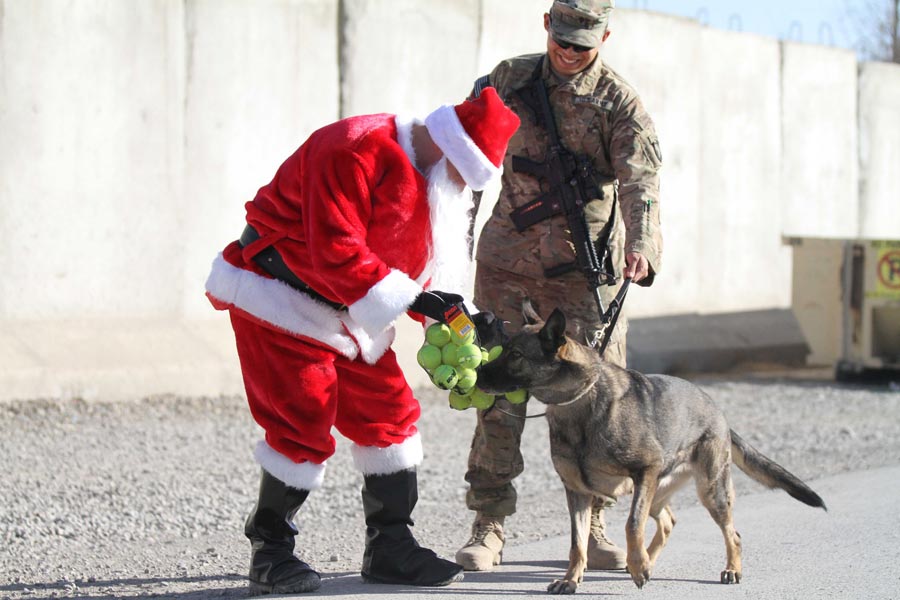 Chief Warrant Officer 2 Brian Boase, of the 101st Airborne Division (Air Assault), delivers tennis balls to a military working dog while dressed as Santa Claus